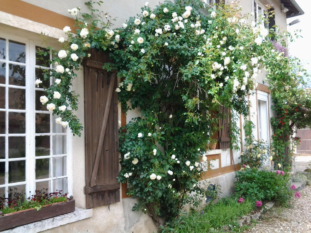 Forest Farm Bois-Jerome-Saint-Ouen ภายนอก รูปภาพ