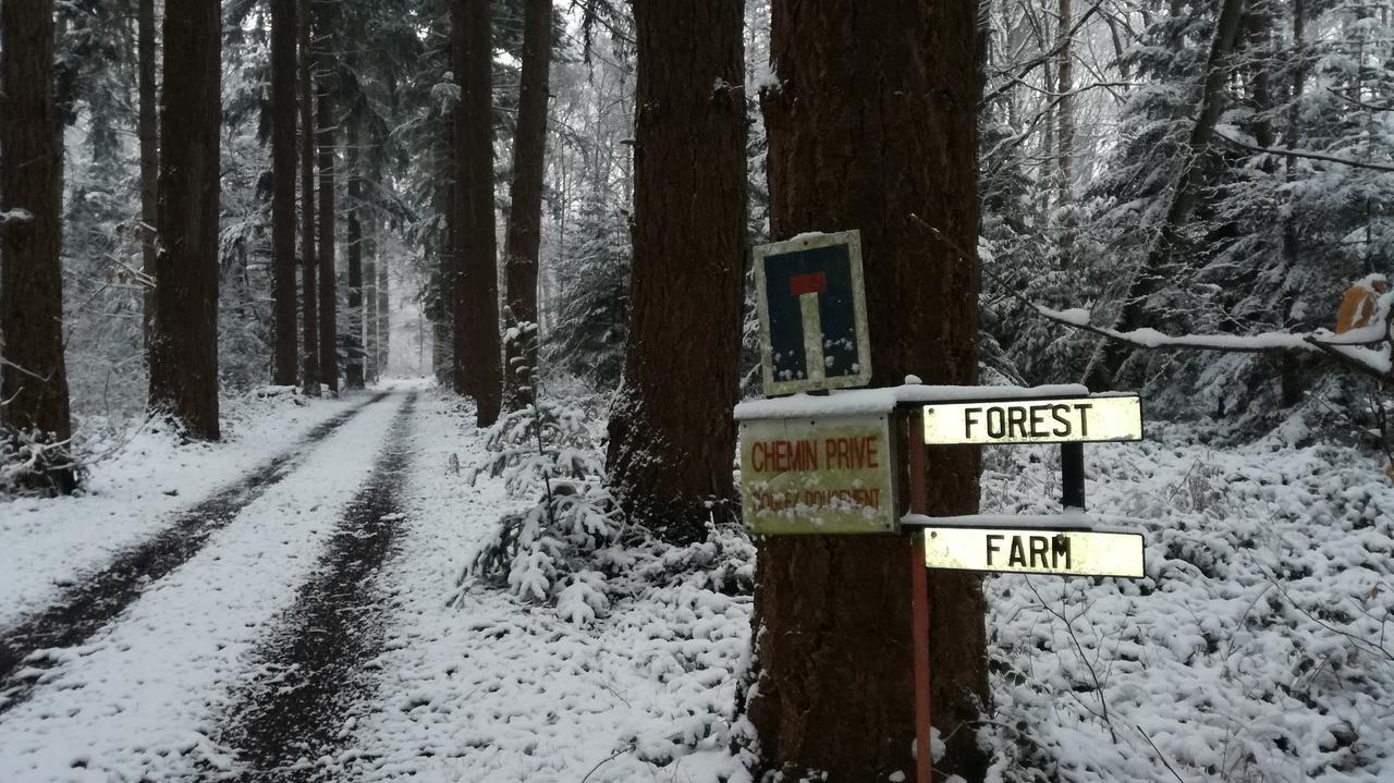 Forest Farm Bois-Jerome-Saint-Ouen ภายนอก รูปภาพ